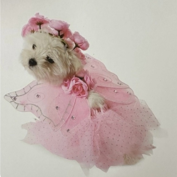 Pink Fairy Dog Costume with Wings, Headband and Skirt - Picture 1 of 5